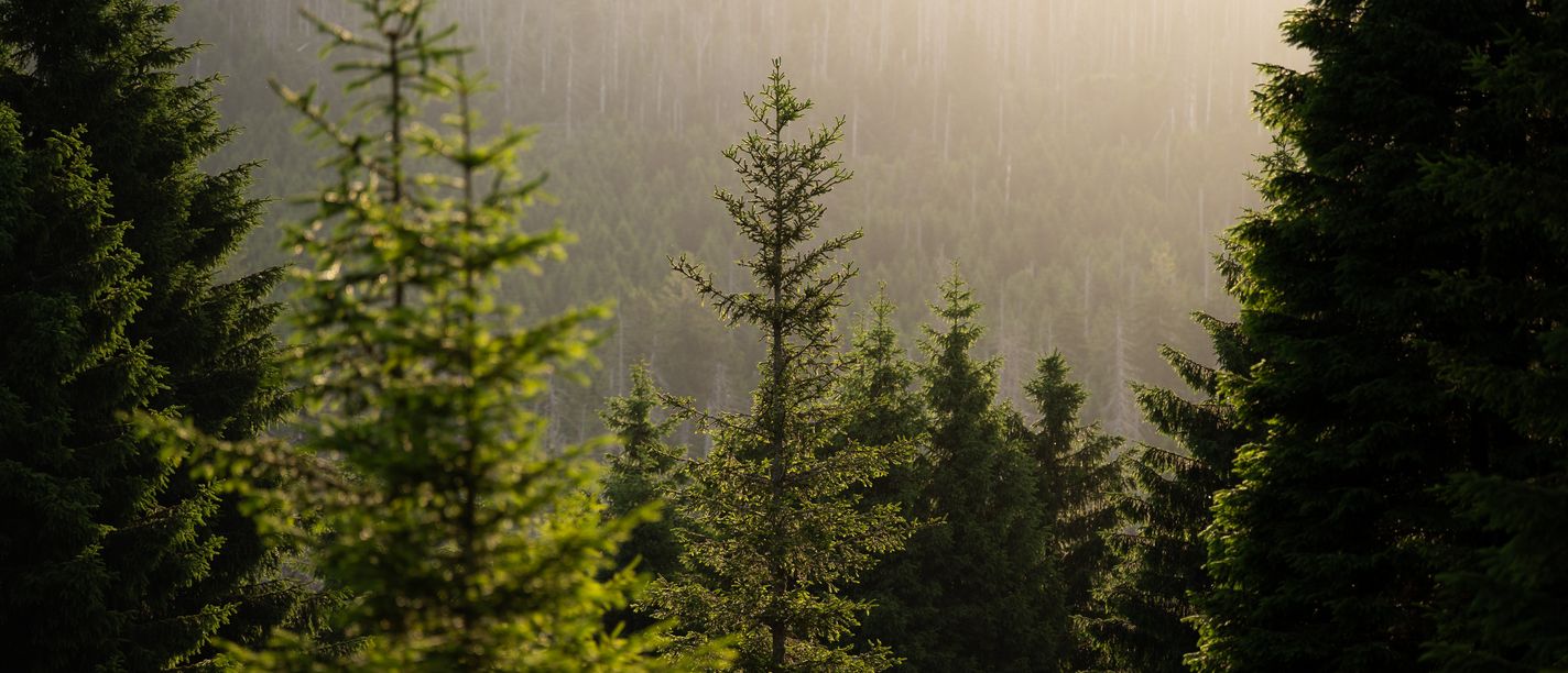 Podcast mit Alexander Beck