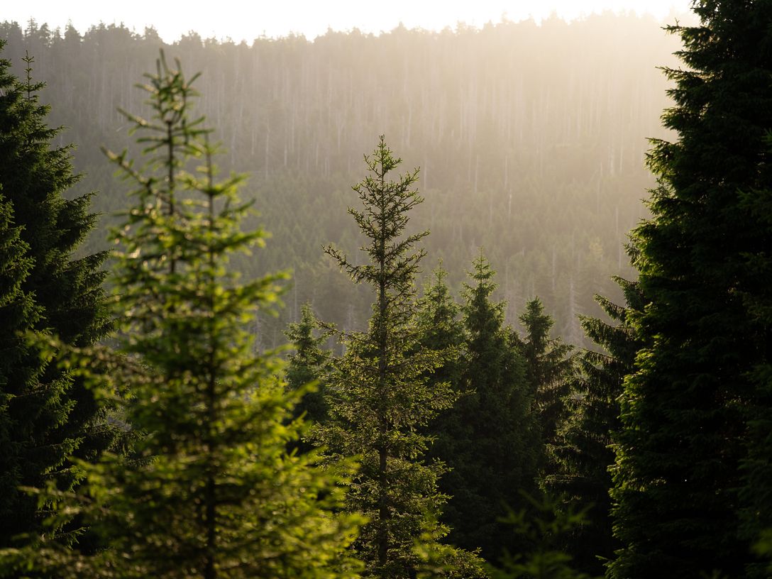 Podcast mit Alexander Beck