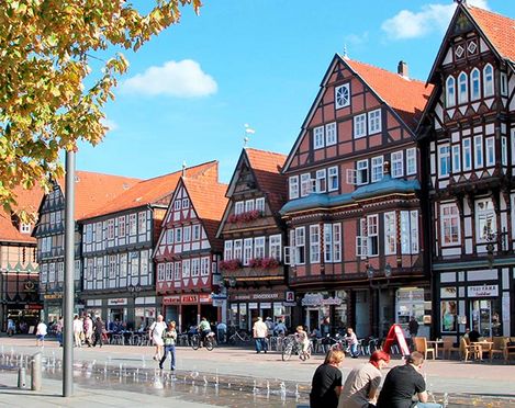 Der Harz hinter den Kulissen: Podcast-Episode mit Julian Schmitz zu Tagungen und Events am Baumwipfelfad